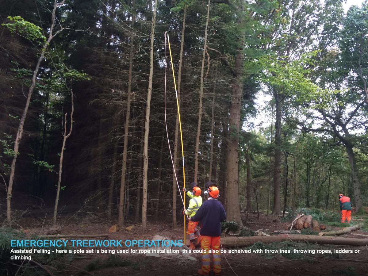 Emergency Treework Operations 